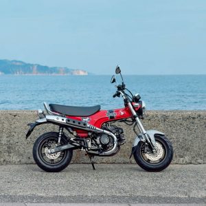 DAX 125